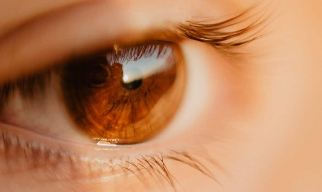 Close up of an eye