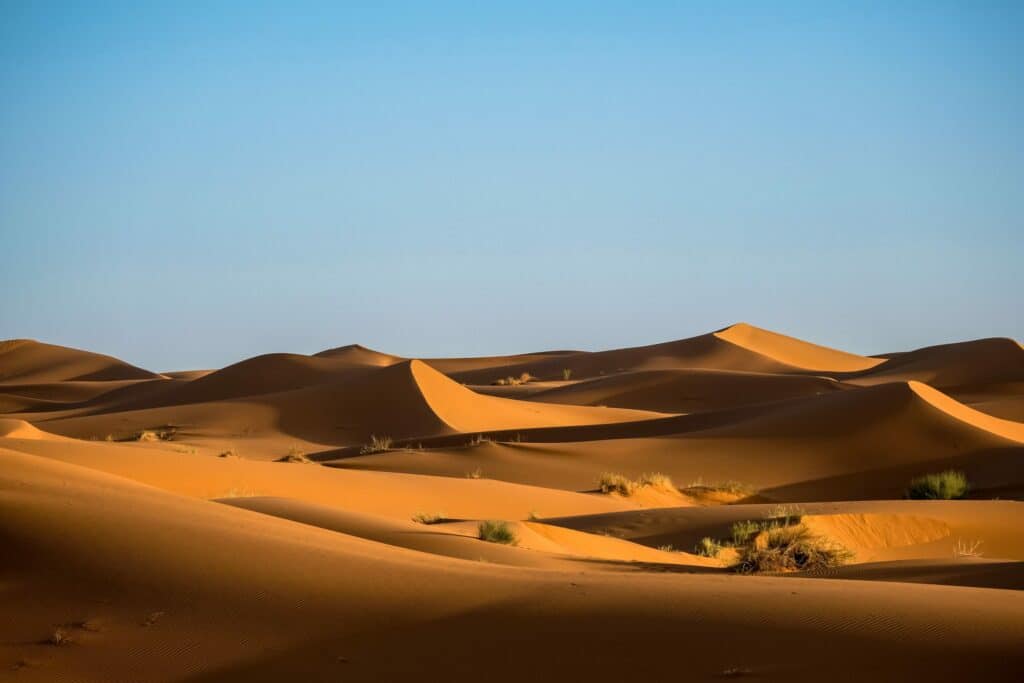 Sand dunes in a desert