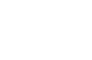 Morel